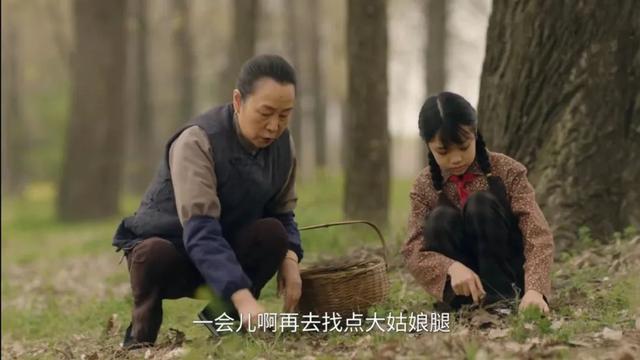 好书连载｜央视热播剧《六姊妹》原著小说（001）