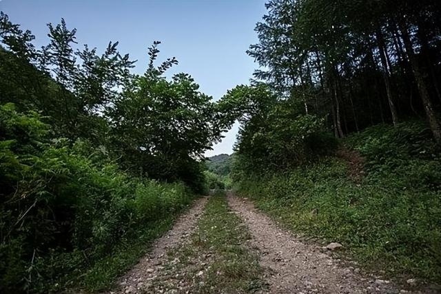 “最美女囚犯”毕丽梅，枪决后竟在火化场复活？家属：有冤不能杀