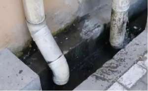 激情护士(一个好色、一个好赌,医院领导被美女护士反杀,激情过后被碎尸)