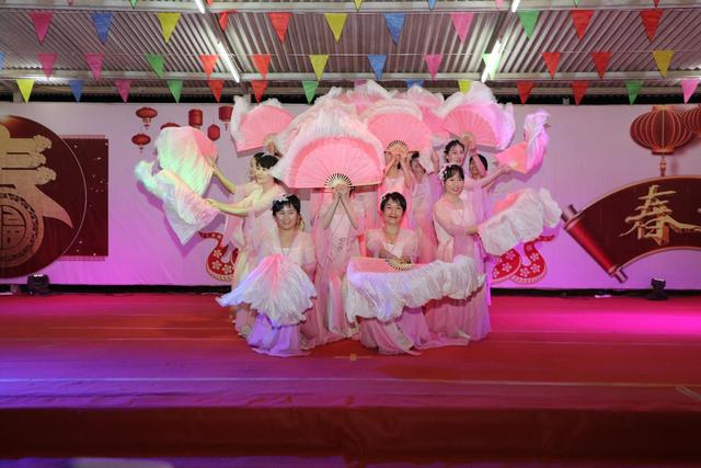 中国“蓝盔”的海外中国年