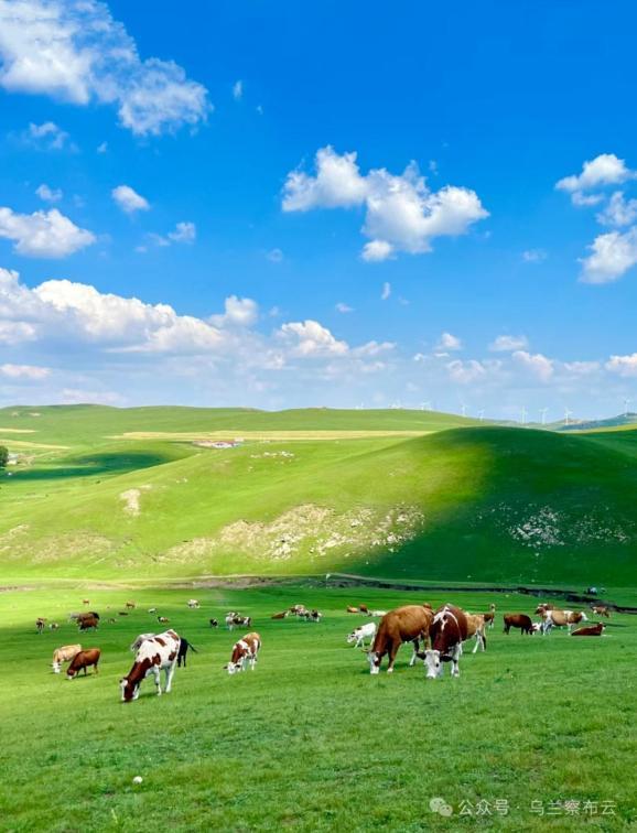 这个八月，乌兰察布非去不可！