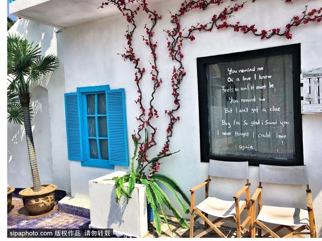 暑期去北戴河看海拾贝喂动物，乐趣满满