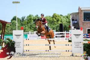 陈雨辰(安徽骑手陈雨辰全国马术夺冠)