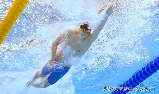 中国国家游泳队主力队员一览表