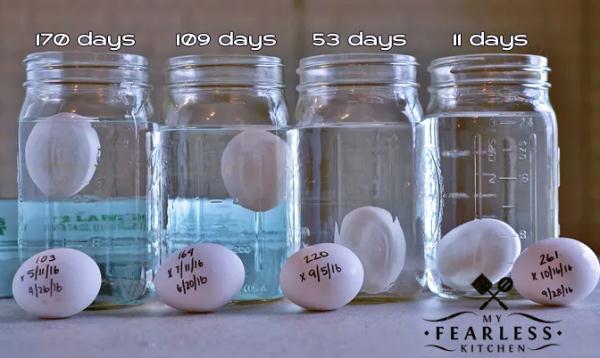 A级鲜鸡蛋，究竟有多鲜？