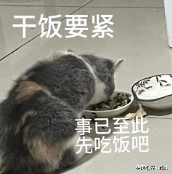 它曾经是剧毒霉菌，如今是酱料之王