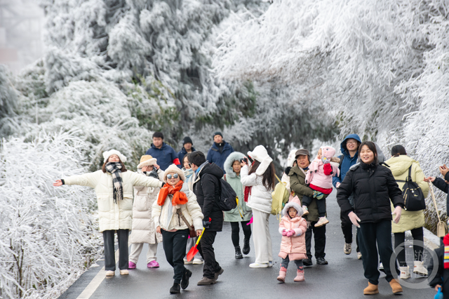 金佛山雪景引客来,周末玩雪乐翻天