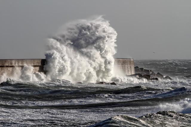 希望——《大长今》主题曲