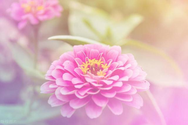 “享年”和“终年”这两个词，到底有什么区别？可千万不要用错了