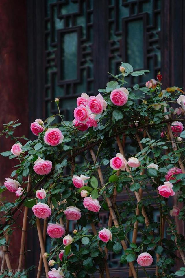 害怕失去你,宁愿宠坏你一辈子的星座男!温柔暴力,甜蜜情感牢笼