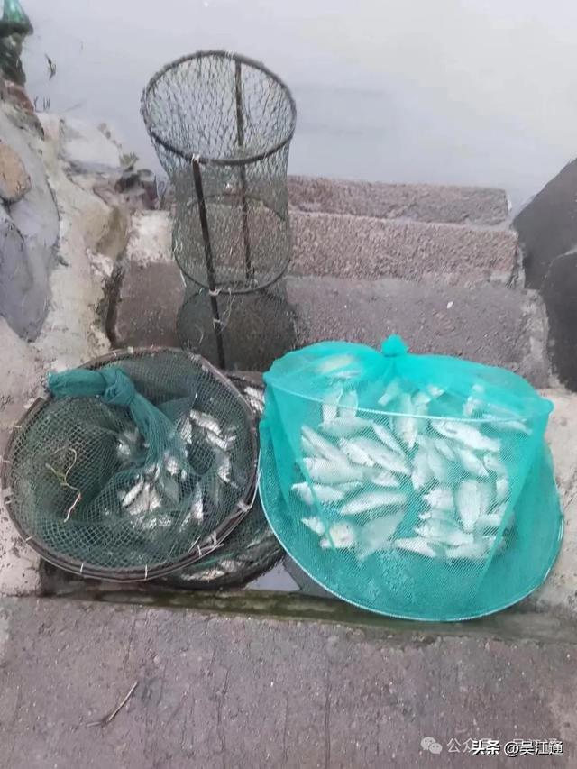 捕鱼的N种方式
