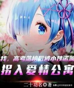 爱情公寓后宫流同人小说