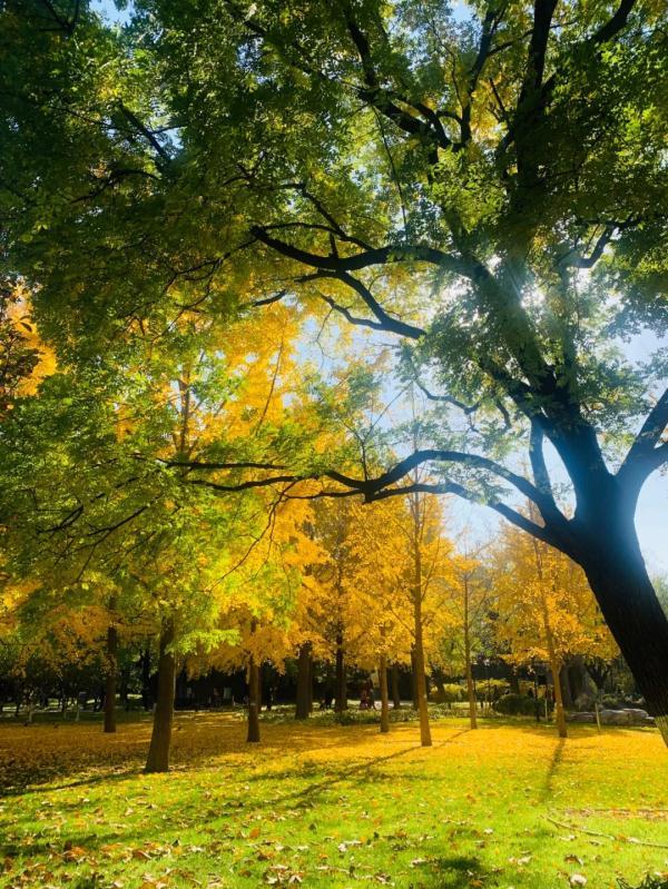 多年父子成兄弟