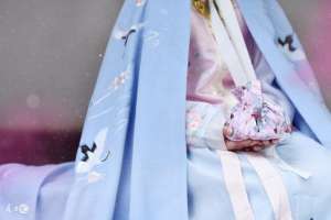 林菀(小说：她被逼进宫，走投无路，她答应了第一次的任务)