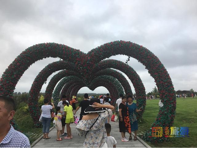 暑期去北戴河看海拾贝喂动物，乐趣满满