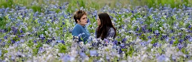 暮光之城3：不是我选择了和你一起生活，而是我选择的生活里有你