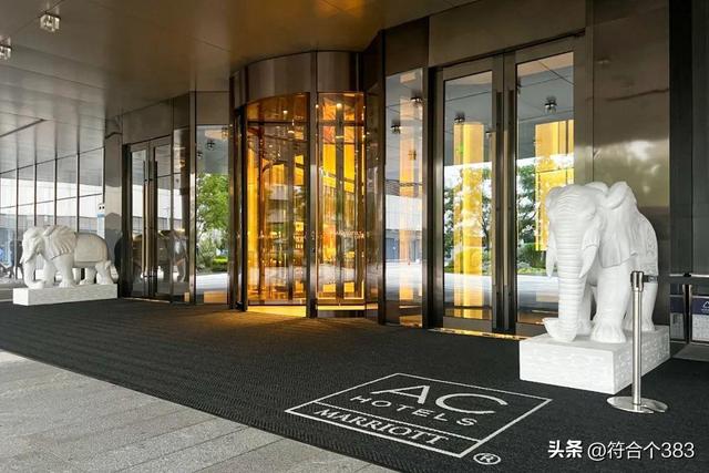 原来刀郎在成都开演唱会,他和团队都下榻在这间酒店