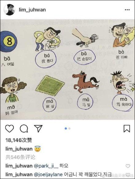 日本出了个给人用的猫窝，想当小奶猫了