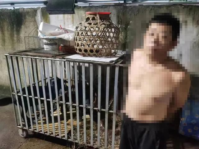 抓!盗窃活羊案件高发!海南这7名“灰太狼”落网……