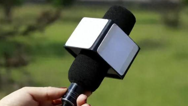 将中国形容为“法西斯”,这个女汉奸太猖狂!