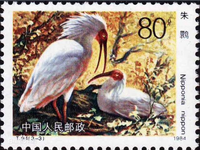 朱鹮这波邮票回忆杀戳到你了吗？