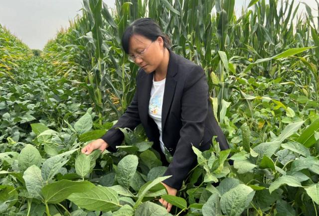 “大国农匠”薛丽娜：十余载从农无悔，她立志让农民换个活法