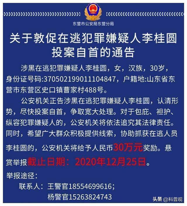至今在逃！山东美女黑老大，心狠手辣暴力催债，警方悬赏30万通缉