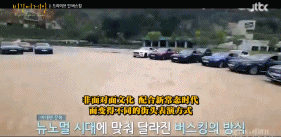 均分9+，国综抄都不敢抄，抄也抄不好