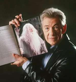 甘道夫扮演者(仅用双眸，他就演活了甘道夫)