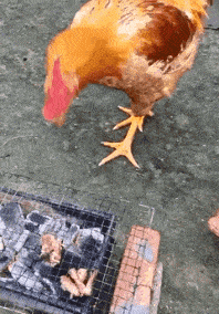 叶玉卿为艺术献身的五部电影,你要都看过,真是慧眼识珠!