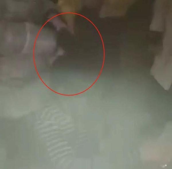 初中女生被狂扇耳光、脱裤子拍照！警方介入，涉案7人全部落网！