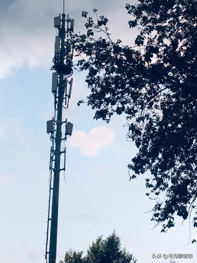 夏天的风 吹出思念的形状 樱桃 云 只有我知道，你是我的毒药。