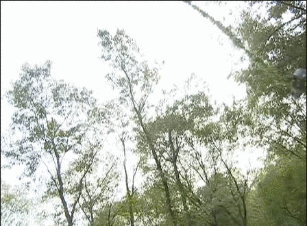 《无敌县令》播出19年，以当今审美，6位女主演谁更美？我站梅妃