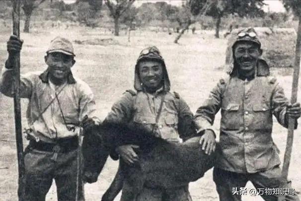 1940年,日军禁止公开的照片,一名慰安妇女孩表情呆滞,命运难测