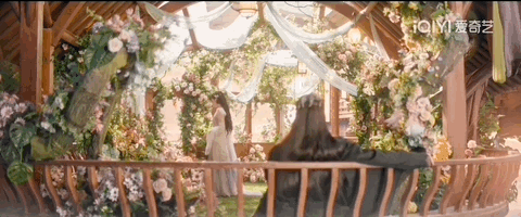 我真的后悔看《苍兰诀》了