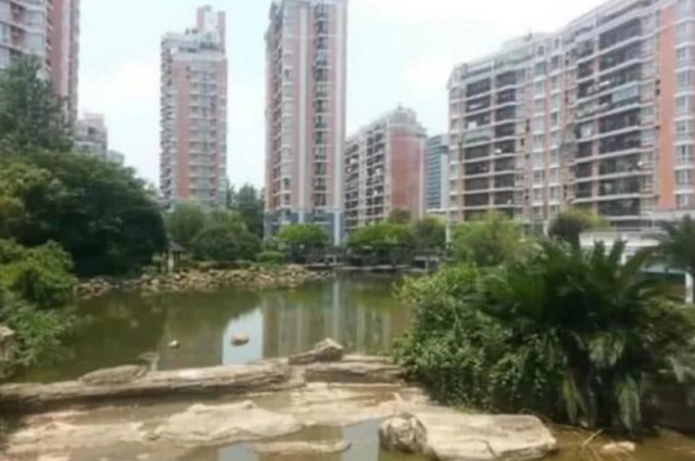 真的存在“爱情公寓”小区吗？看清拍摄场地那一刻，瞬间恍然大悟