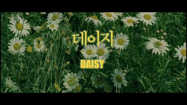 《雏菊》：这部初恋电影！看看有没有你年少时的影子