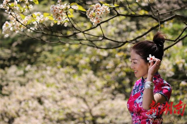 湘西龙山：脉龙山上有座桐花寨