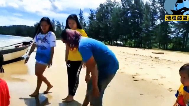 418.海龟被藤壶寄生,帮这家伙清理一下,处理完了干净多了