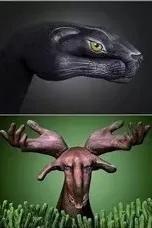 人体彩绘、人体艺术，美到极致，绝到称奇