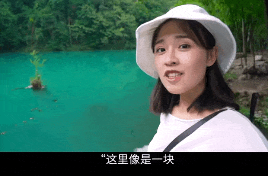 这种话张嘴就来？房琪成为点评团天花板，温柔力量说哭众多艺人