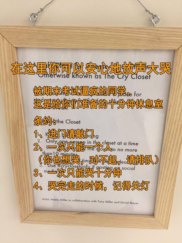 日本出了个给人用的猫窝，想当小奶猫了