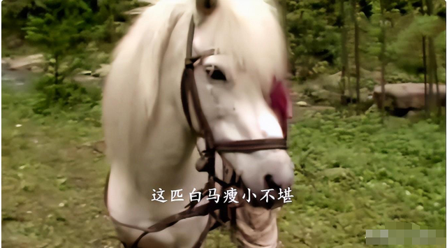 白龙马为拍摄《西游记》脱军籍，晚年惨死，杨洁导演为何见死不救