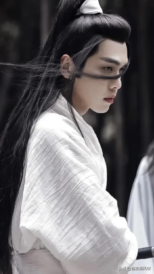 《雪中悍刀行》人物志：徐凤年——江湖与庙堂之间我以热血证苍生