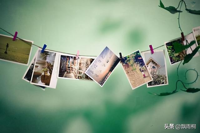 《犯心》：刑从连VS林辰，温柔是永远抗拒不了的爱意