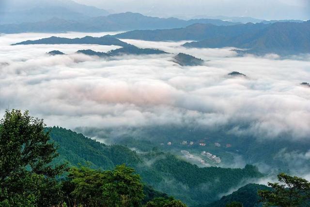 《悉达多》：为什么悉达多只见了一次沙门，就决定成为一名苦行者