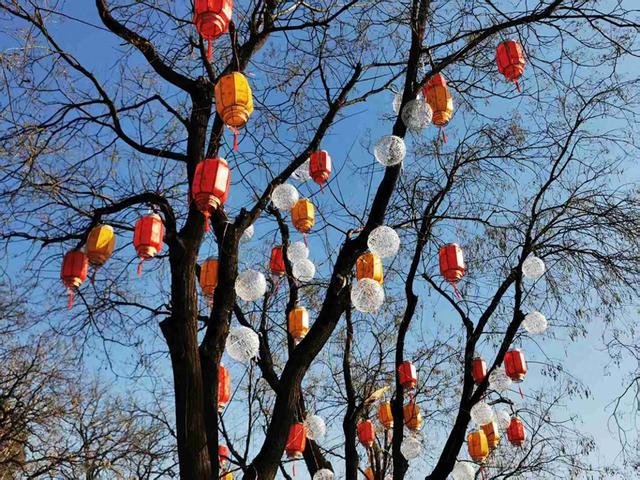 京城拍客今日精选｜寻常烟火巷 花灯初点亮