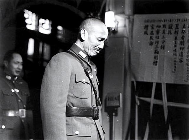 蒋介石败退台湾后,意外捕获5英尺大鱼,渔民一番话预示国军结局