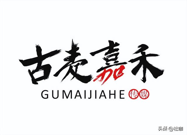 国内十大知名MCN机构排名