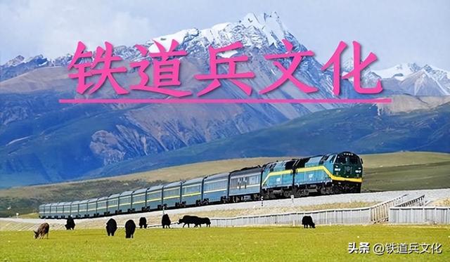 新管处—我心灵的家园 作者：鲍林栋